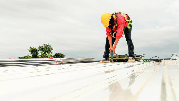 Best 4 Ply Roofing  in Strawberry Plains, TN