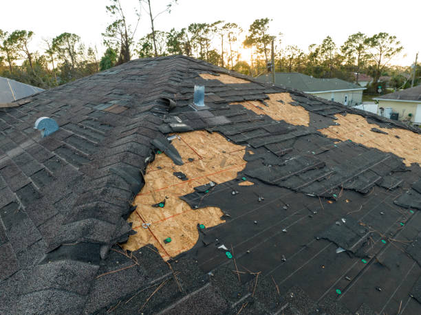 Fast & Reliable Emergency Roof Repairs in Strawberry Plains, TN